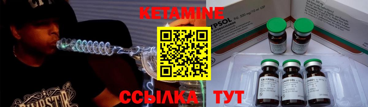 APVP Тамбов