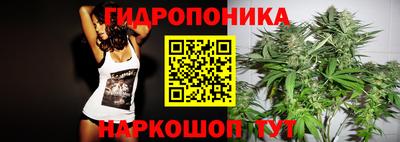крисы Ливны