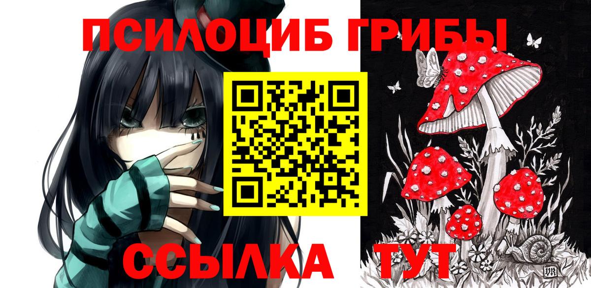 Псилоцибиновые грибы Psilocybe  Вход с VPN  Тамбов 